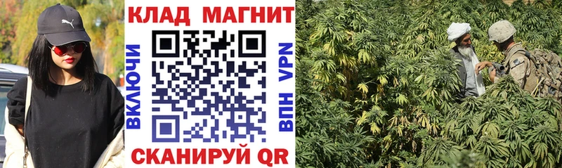 Где купить наркоту Липки Кокаин Меф Псилоцибиновые грибы omg сайт Гашиш