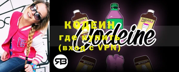 прущие грибы Богородицк
