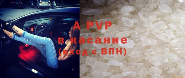 спиды Богданович
