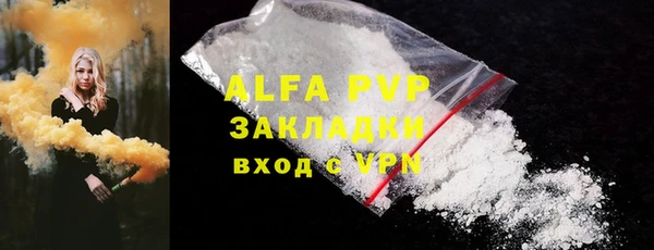 спиды Богданович