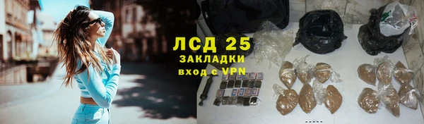 спиды Богданович