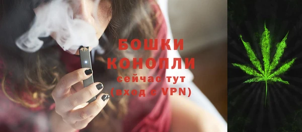 прущие грибы Богородицк