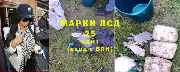 спиды Богданович