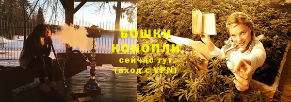 прущие грибы Богородицк