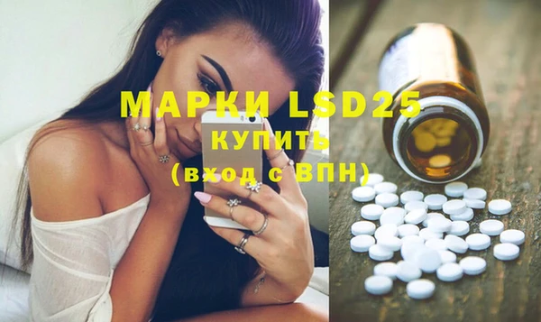 прущие грибы Богородицк