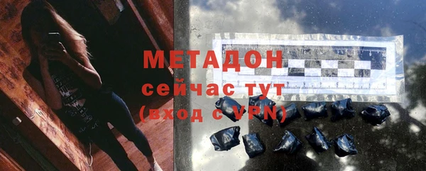 спиды Богданович