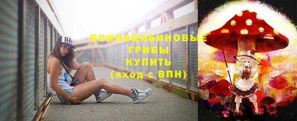 прущие грибы Богородицк